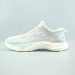ANTA HYDROGEN RUN 4